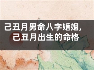 己丑月男命八字婚姻,己丑月出生的命格