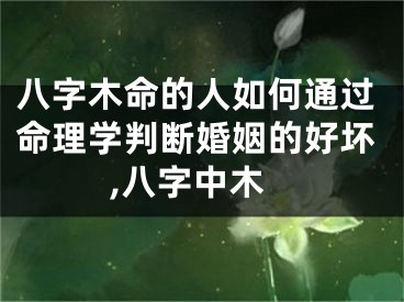 八字木命的人如何通过命理学判断婚姻的好坏,八字中木