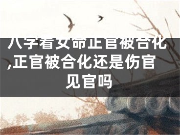 八字看女命正官被合化,正官被合化还是伤官见官吗