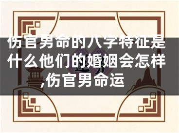 伤官男命的八字特征是什么他们的婚姻会怎样,伤官男命运