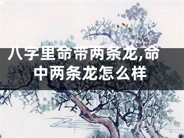 八字里命带两条龙,命中两条龙怎么样