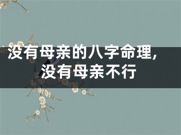 没有母亲的八字命理,没有母亲不行