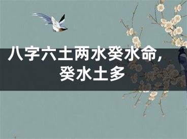八字六土两水癸水命,癸水土多