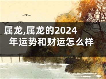 属龙,属龙的2024年运势和财运怎么样