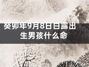 癸卯年9月8日白露出生男孩什么命