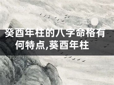 癸酉年柱的八字命格有何特点,葵酉年柱