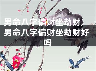 男命八字偏财坐劫财,男命八字偏财坐劫财好吗
