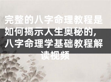 完整的八字命理教程是如何揭示人生奥秘的,八字命理学基础教程解读视频