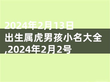 2024年2月13日出生属虎男孩小名大全,2024年2月2号