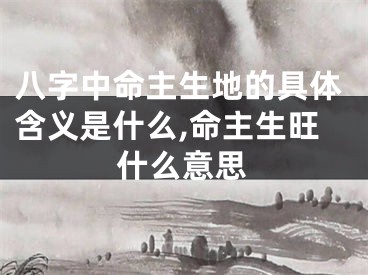 八字中命主生地的具体含义是什么,命主生旺什么意思