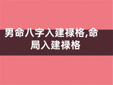 男命八字入建禄格,命局入建禄格