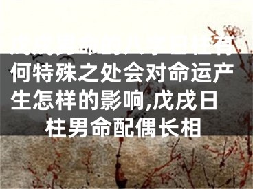 戊戌男命的八字日柱有何特殊之处会对命运产生怎样的影响,戊戌日柱男命配偶长相