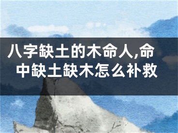 八字缺土的木命人,命中缺土缺木怎么补救