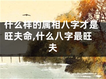 什么样的属相八字才是旺夫命,什么八字最旺夫