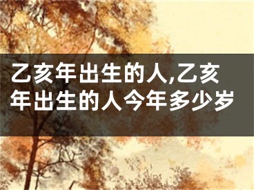 乙亥年出生的人,乙亥年出生的人今年多少岁