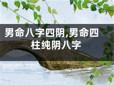 男命八字四阴,男命四柱纯阴八字