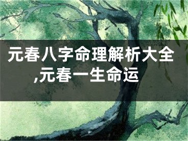 元春八字命理解析大全,元春一生命运