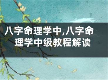 八字命理学中,八字命理学中级教程解读