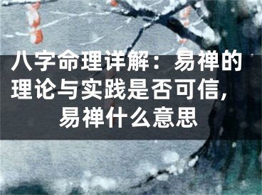八字命理详解：易禅的理论与实践是否可信,易禅什么意思
