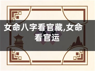 女命八字看官藏,女命看官运