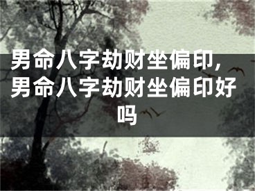 男命八字劫财坐偏印,男命八字劫财坐偏印好吗