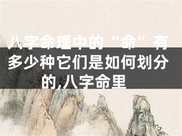 八字命理中的“命”有多少种它们是如何划分的,八字命里