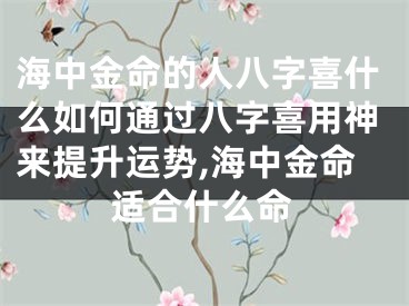 海中金命的人八字喜什么如何通过八字喜用神来提升运势,海中金命适合什么命