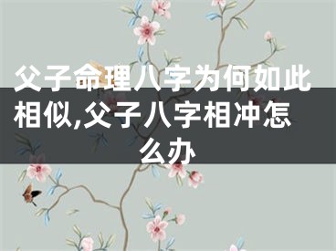 父子命理八字为何如此相似,父子八字相冲怎么办