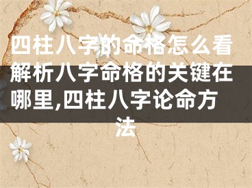 四柱八字的命格怎么看解析八字命格的关键在哪里,四柱八字论命方法
