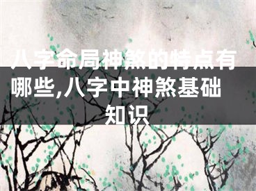 八字命局神煞的特点有哪些,八字中神煞基础知识