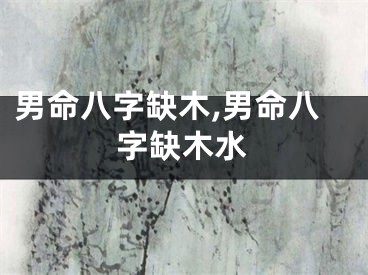 男命八字缺木,男命八字缺木水