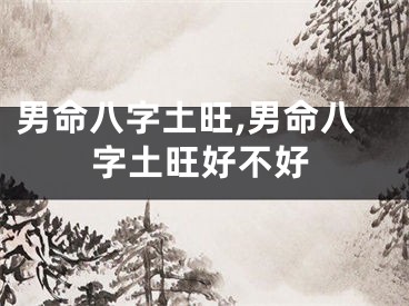 男命八字土旺,男命八字土旺好不好
