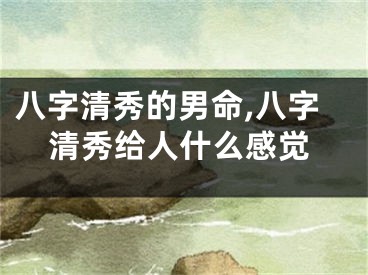 八字清秀的男命,八字清秀给人什么感觉