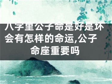 八字里公子命是好是坏会有怎样的命运,公子命座重要吗