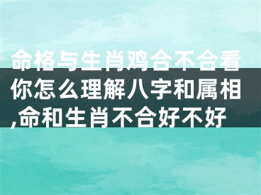 命格与生肖鸡合不合看你怎么理解八字和属相,命和生肖不合好不好
