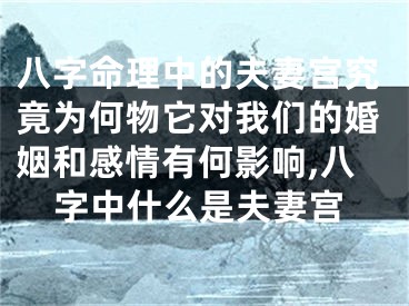 八字命理中的夫妻宫究竟为何物它对我们的婚姻和感情有何影响,八字中什么是夫妻宫