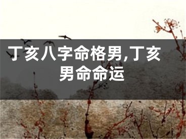 丁亥八字命格男,丁亥男命命运