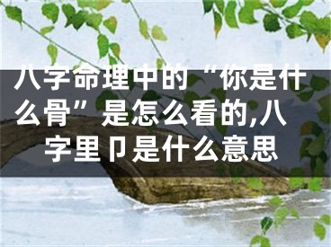 八字命理中的“你是什么骨”是怎么看的,八字里卩是什么意思