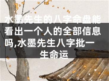 水墨先生的八字命盘能看出一个人的全部信息吗,水墨先生八字批一生命运