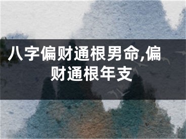 八字偏财通根男命,偏财通根年支