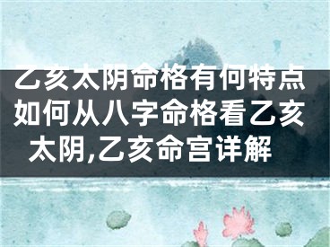乙亥太阴命格有何特点如何从八字命格看乙亥太阴,乙亥命宫详解