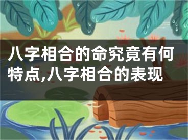 八字相合的命究竟有何特点,八字相合的表现