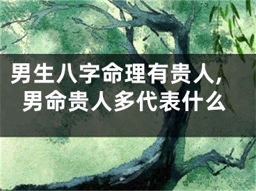 男生八字命理有贵人,男命贵人多代表什么
