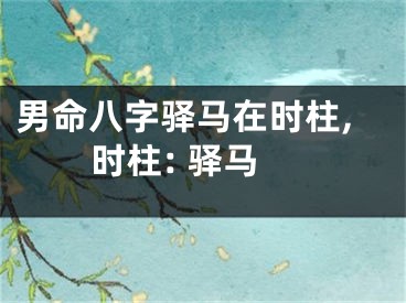 男命八字驿马在时柱,时柱: 驿马