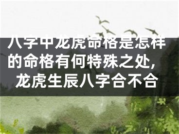 八字中龙虎命格是怎样的命格有何特殊之处,龙虎生辰八字合不合