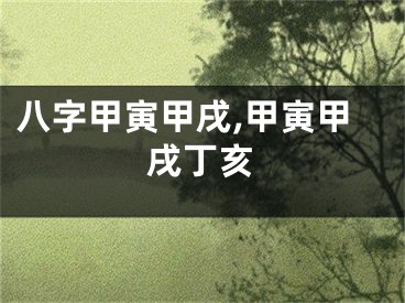 八字甲寅甲戌,甲寅甲戌丁亥