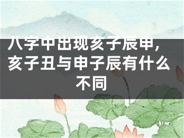 八字中出现亥子辰申,亥子丑与申子辰有什么不同