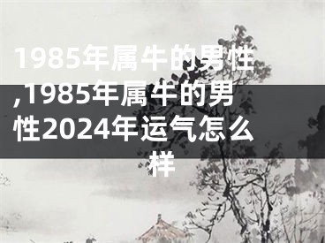 1985年属牛的男性,1985年属牛的男性2024年运气怎么样