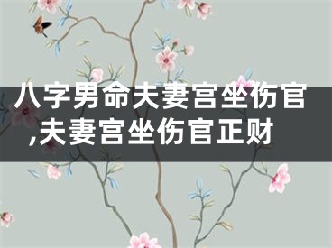 八字男命夫妻宫坐伤官,夫妻宫坐伤官正财