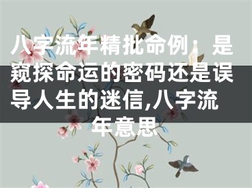 八字流年精批命例：是窥探命运的密码还是误导人生的迷信,八字流年意思